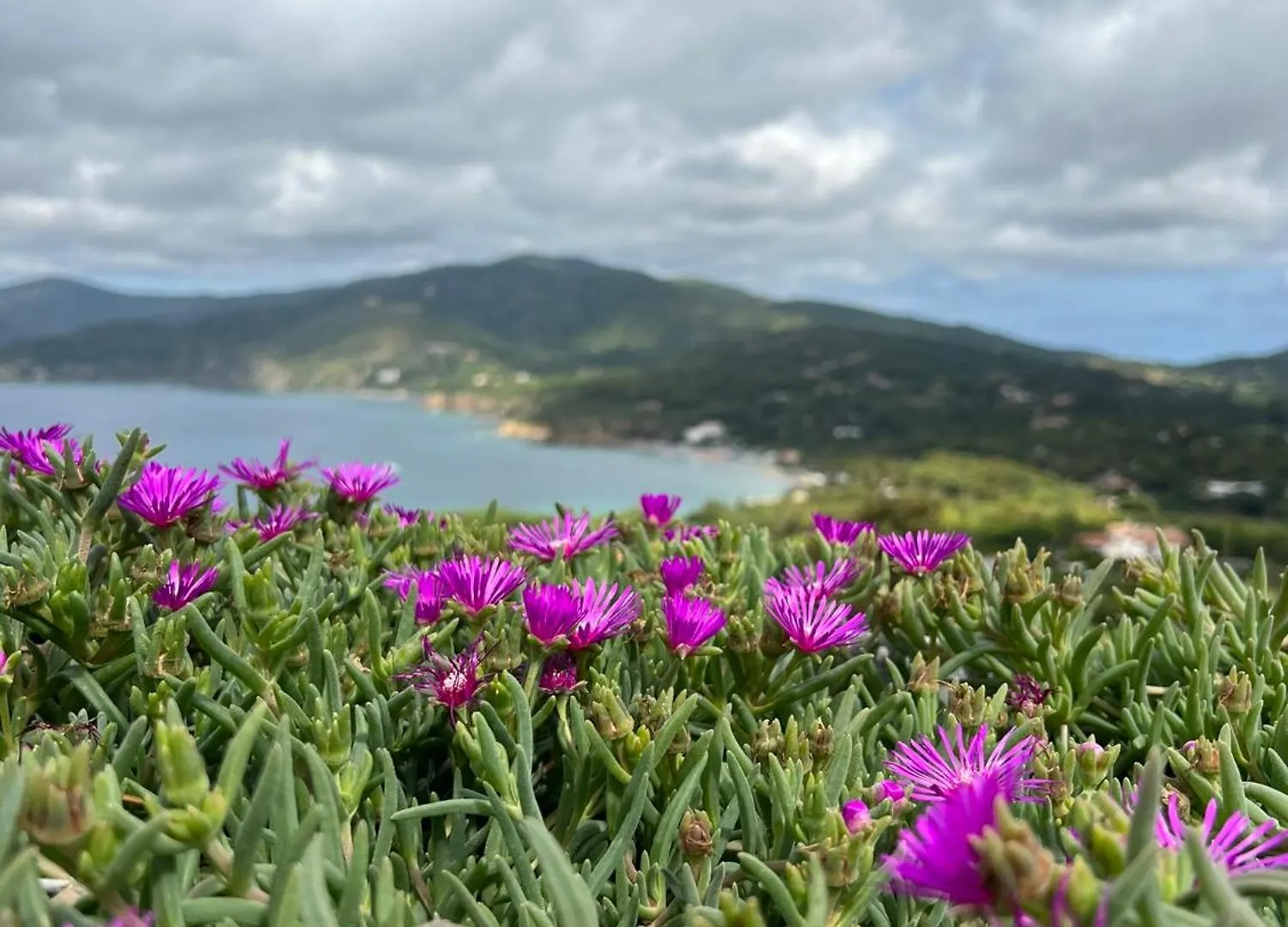 Villetta Zuccale III Natura E Vista Mozzafiato Sul Mare Capoliveri  Italien